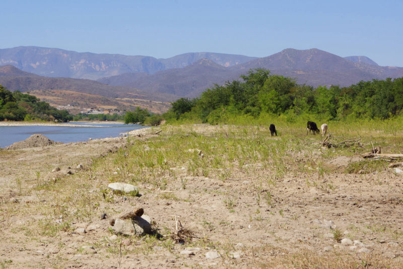 Ixcamilpa de Guerrero